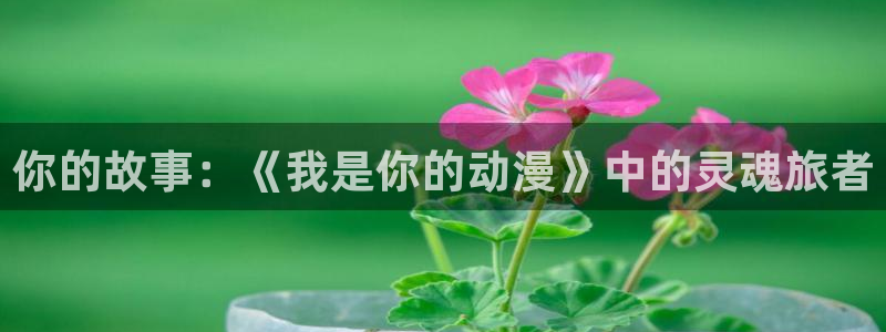 3d动漫里番动漫