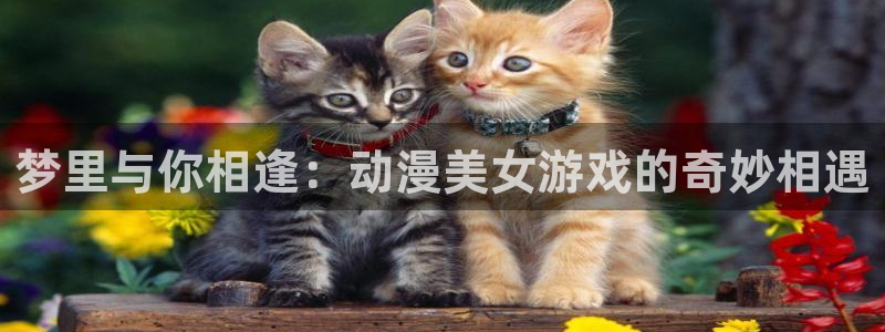 里番acg动漫无翼鸟